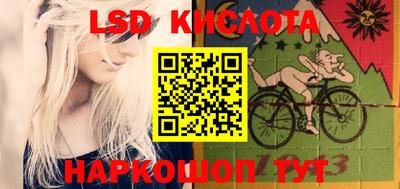 спиды Новодвинск