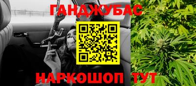 спиды Новодвинск