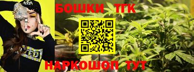 спиды Новодвинск
