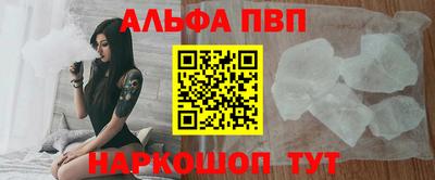спиды Новодвинск